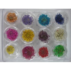 Set decorativo de 12 piezas