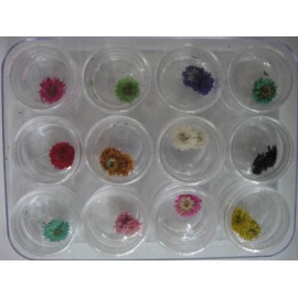 Set decorativo de 12 piezas