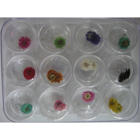 Set decorativo de 12 piezas