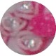 Bolsita de rosas 3D
