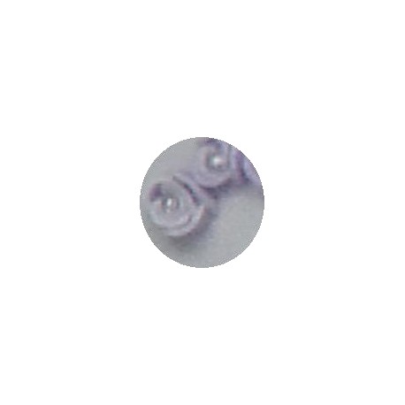 Bolsita de rosas 3D