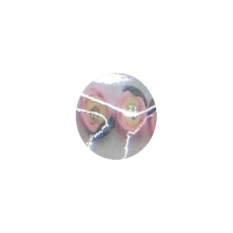 Bolsita de rosas 3D