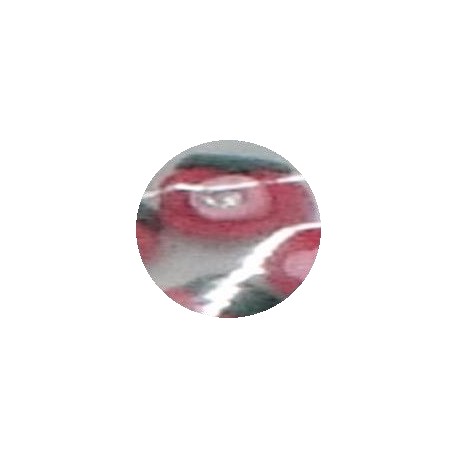 Bolsita de rosas 3D