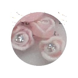 Bolsita de rosas 3D