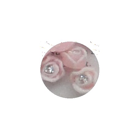 Bolsita de rosas 3D